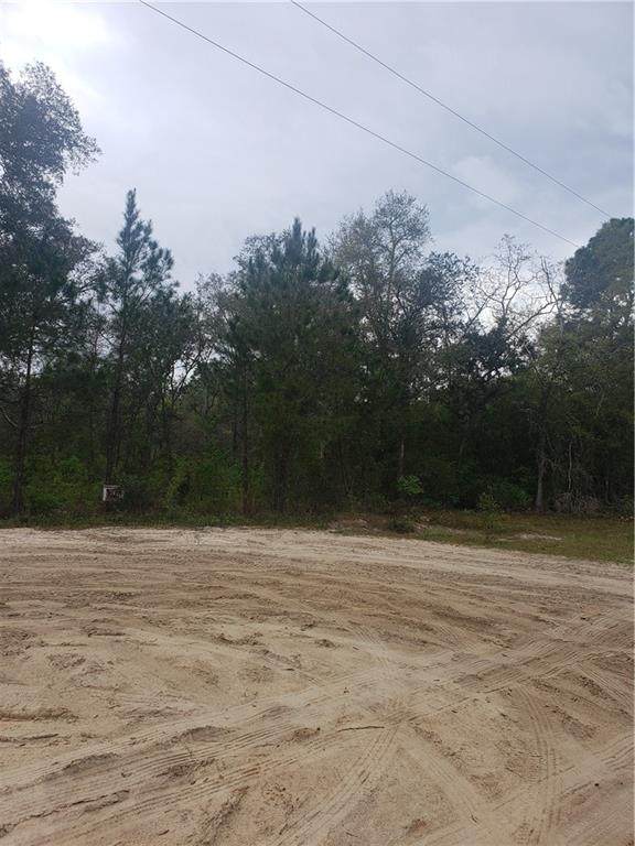 00 Fort Mcintosh Trail - Photo 1