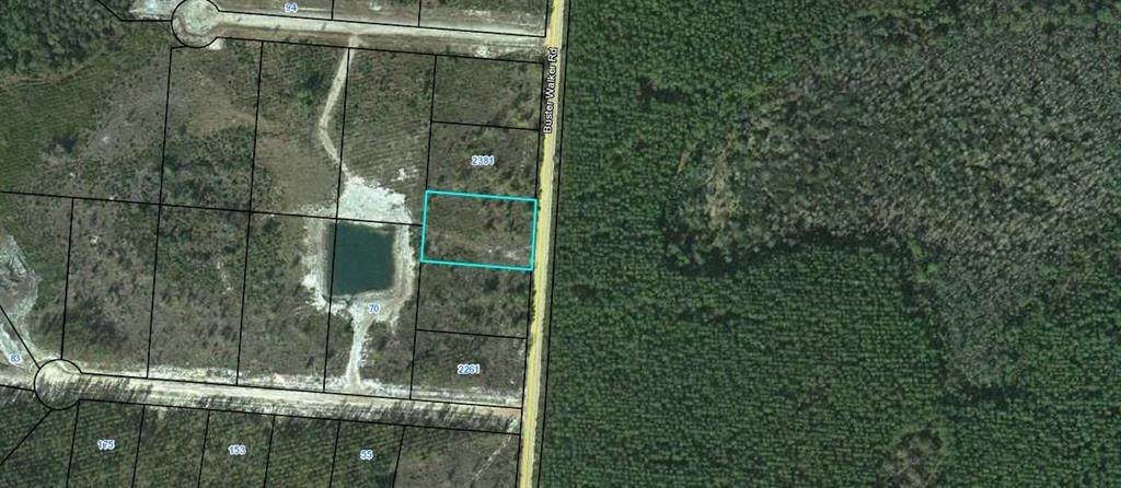 Lot 83 Buster Walker Road - Photo 1