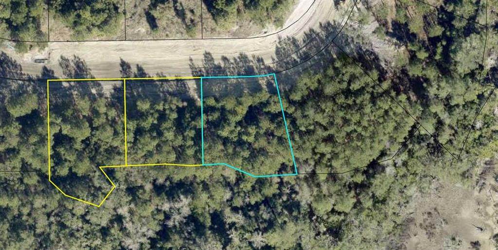 Lot 141 Beacon Pointe Parkway - Photo 1