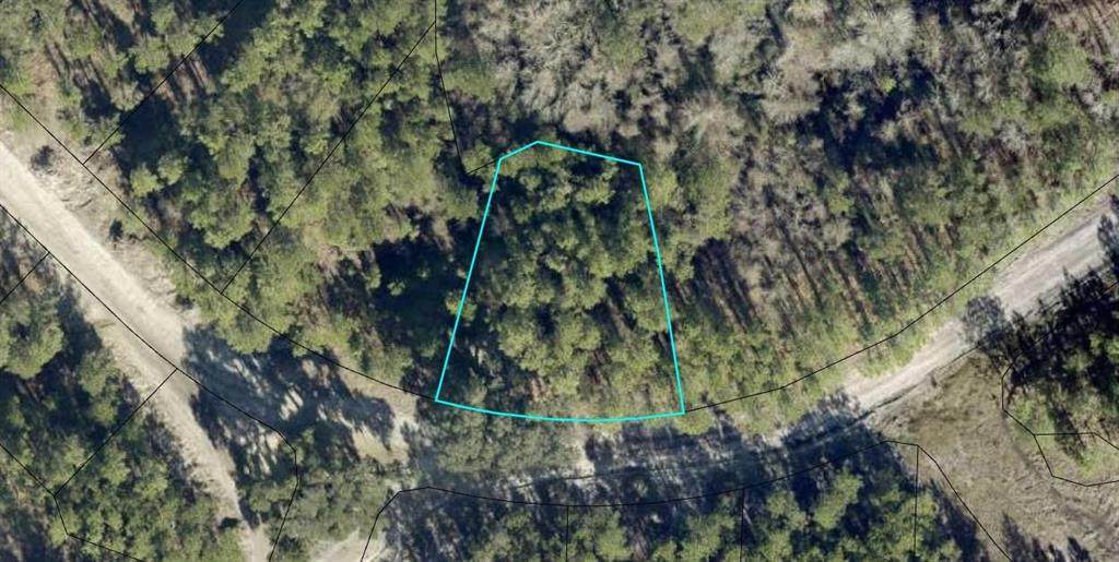 Lot 220 Coastal Marsh Boulevard - Photo 1