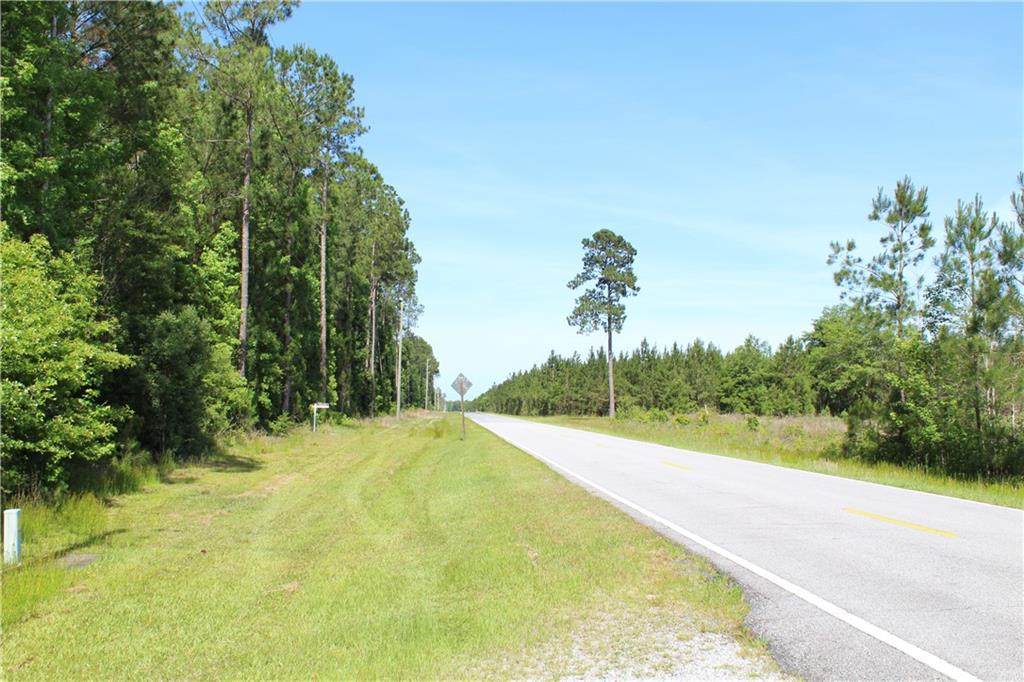 Lot 1 Harris Neck Road - Photo 1
