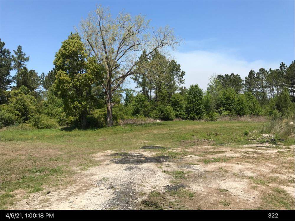 5702 Ga Hwy 99 - Photo 1