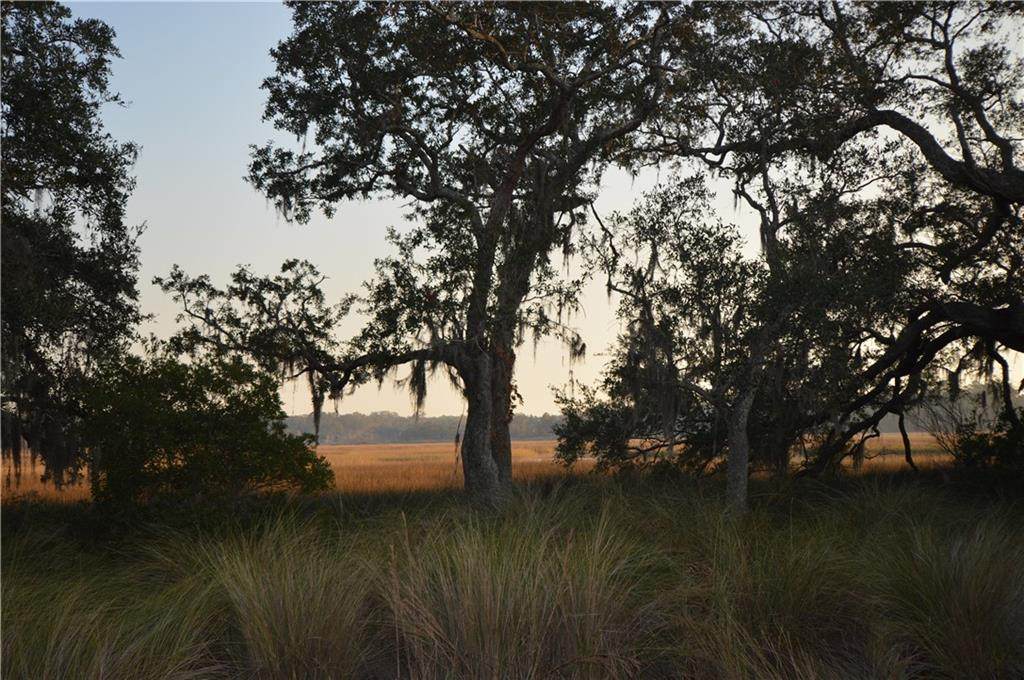 32 Coopers Point Drive - Photo 1