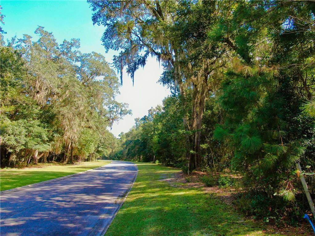 54 Tar Flower Trail - Photo 1