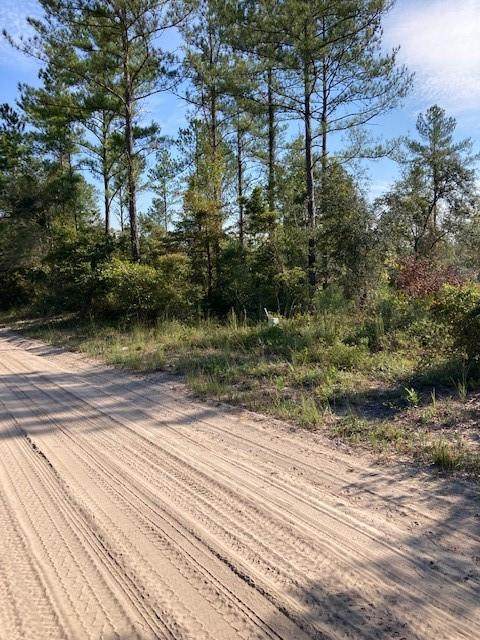 Lot ,20,29 Mcintosh Road - Photo 1
