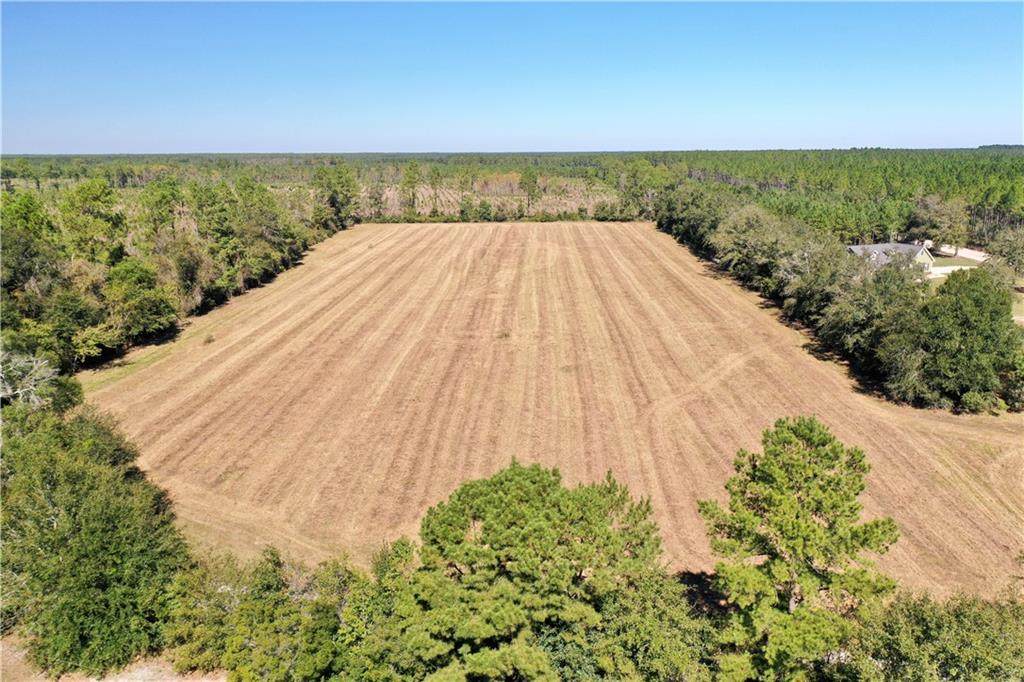 9.61 ac Telmore-Dixie Union Road - Photo 1