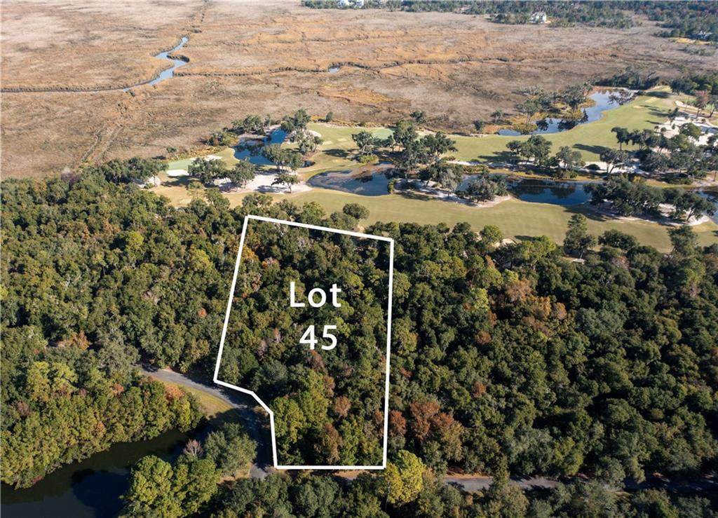 386 Saint Annie's Lane - Photo 1