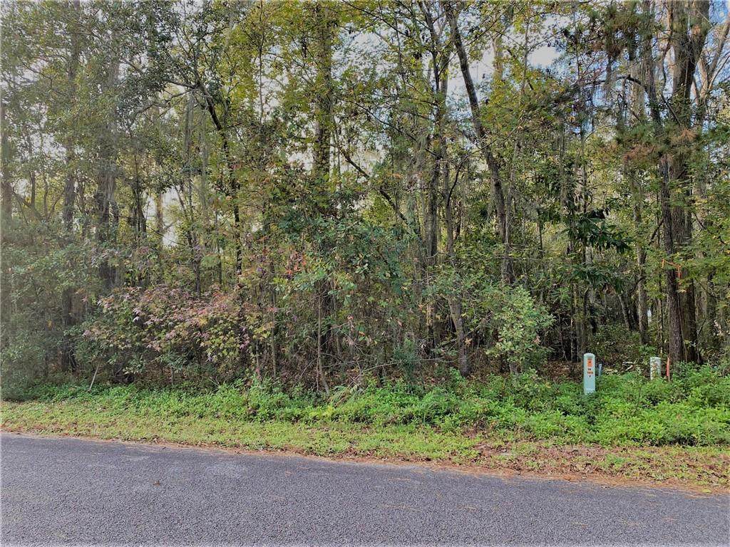 0 Riverview Drive - Photo 1
