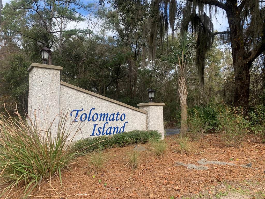 Lot 77 Tolomato Drive - Photo 1