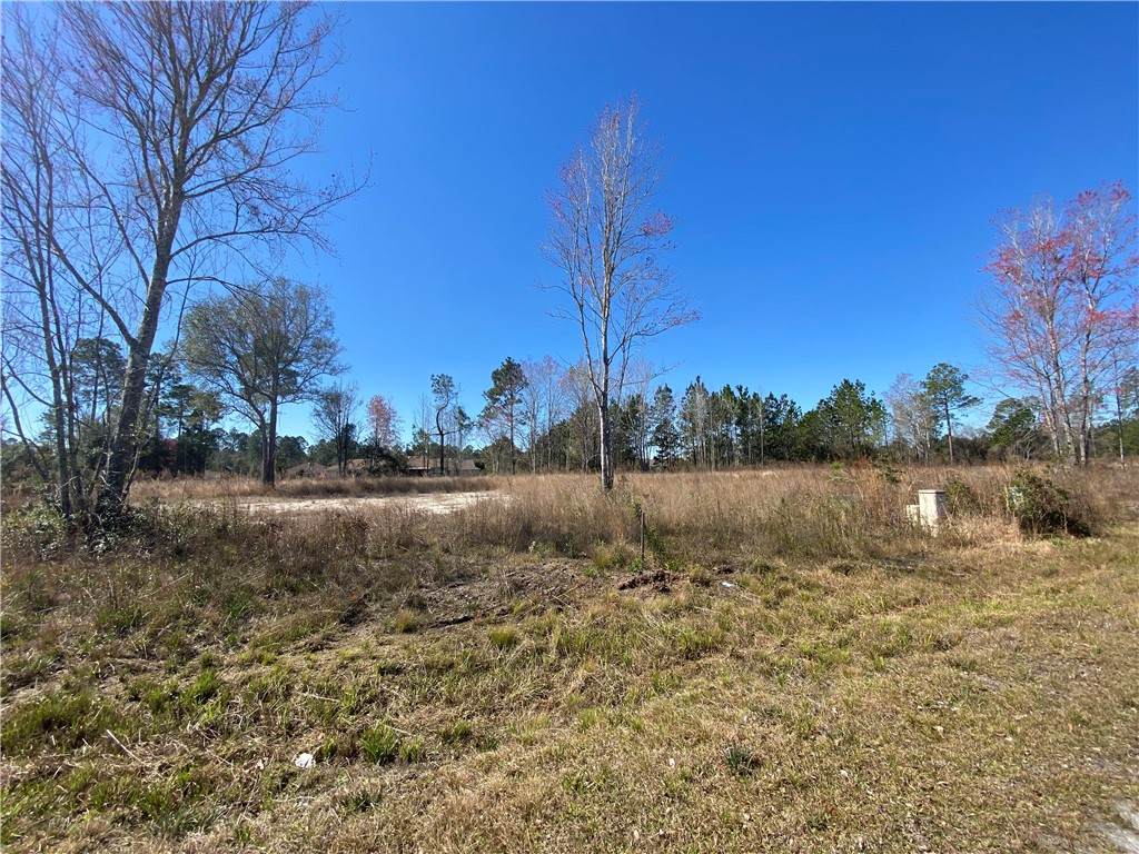 137 Silver Bluff Circle - Photo 1