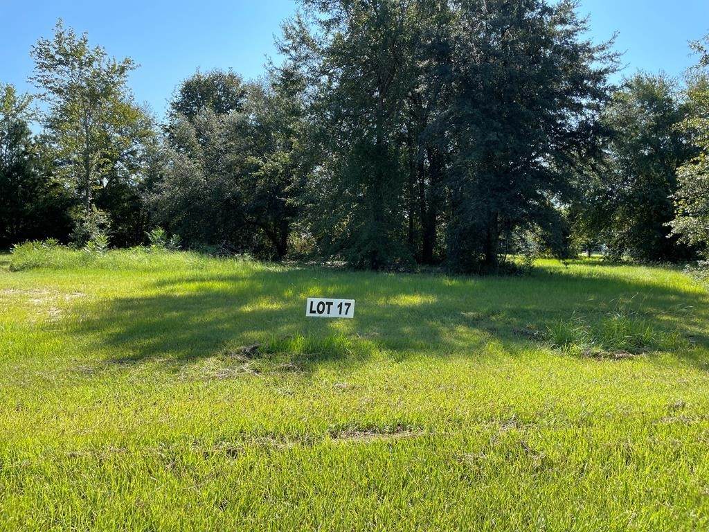 Lot 17 Saddle Circle - Photo 1