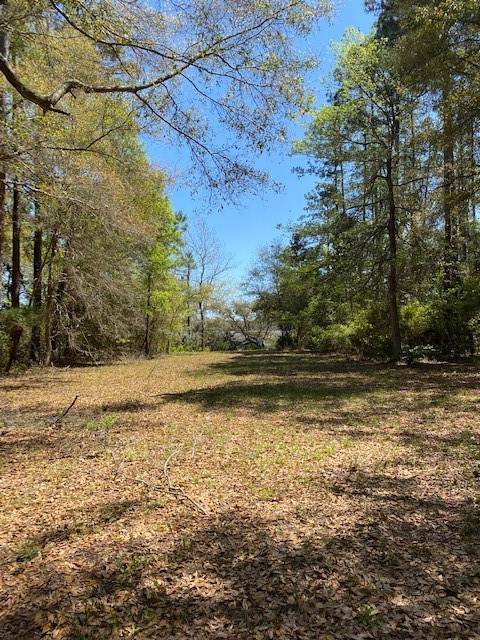 Lot 25 Julienton Drive - Photo 1
