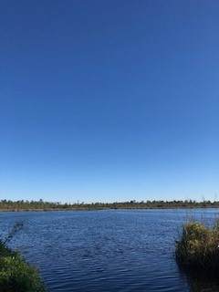 4 Settlers Bluff Road - Photo 1
