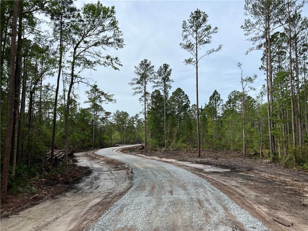 2 Coastal Estates Drive - Photo 1