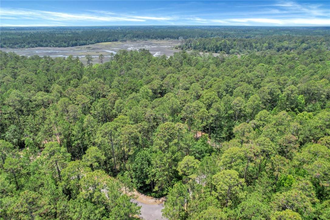 Lot 232 Refuge Point - Photo 1