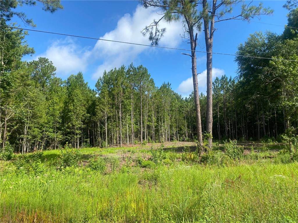 0 Blount Crossing Road - Photo 1
