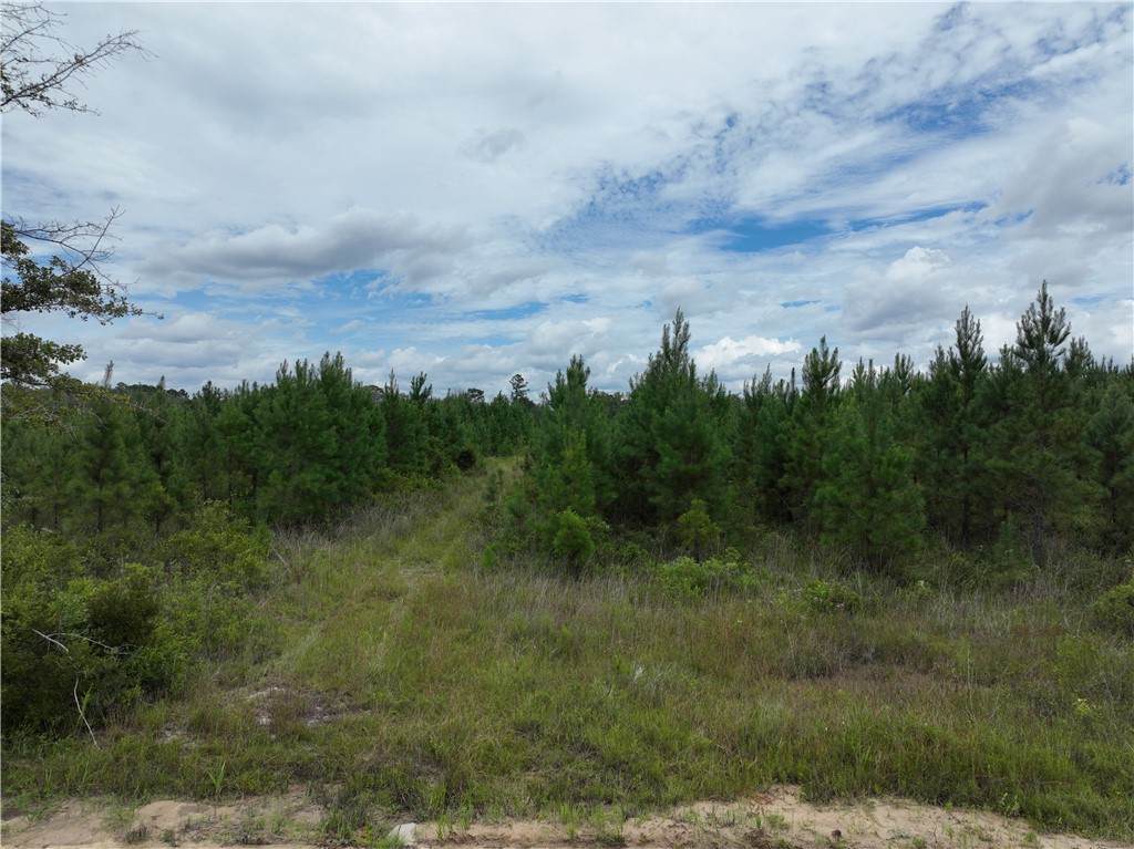 711 Nursery Road - Photo 1