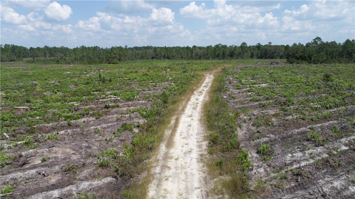 0 County Line Road - Photo 1