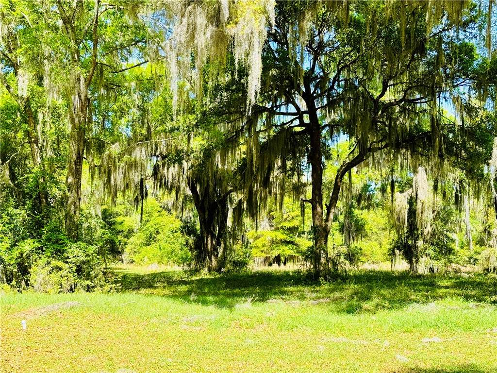 https://bt-photos.global.ssl.fastly.net/goldenisles/orig_boomver_1_1653339-2.jpg