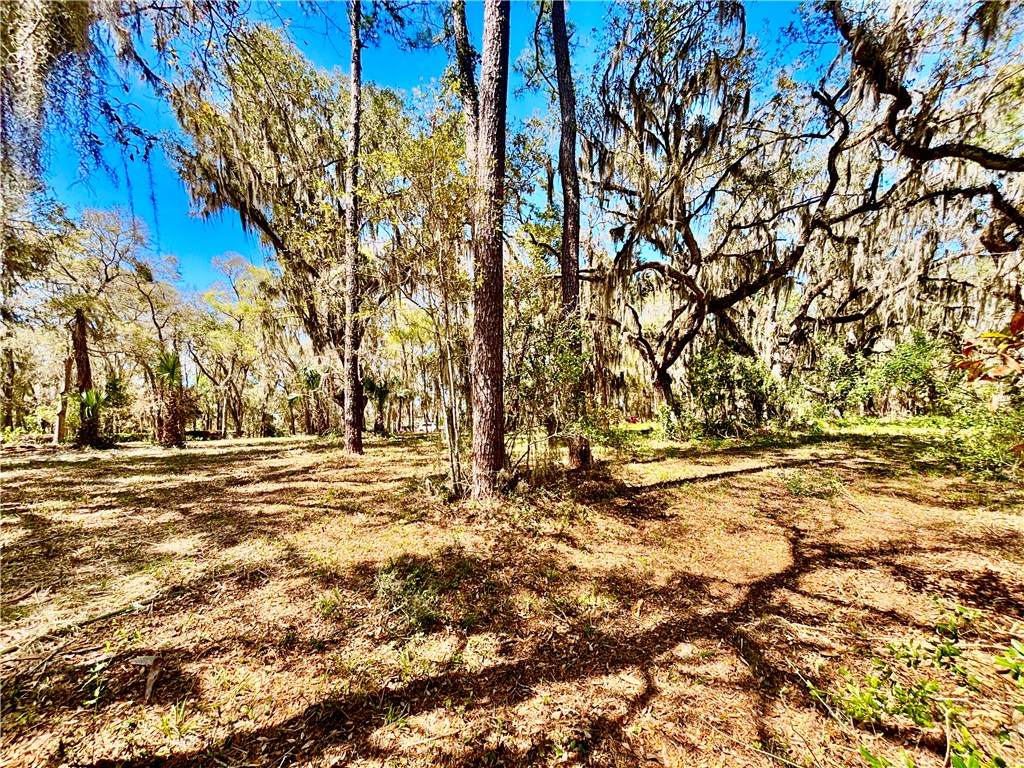 https://bt-photos.global.ssl.fastly.net/goldenisles/orig_boomver_1_1653430-2.jpg