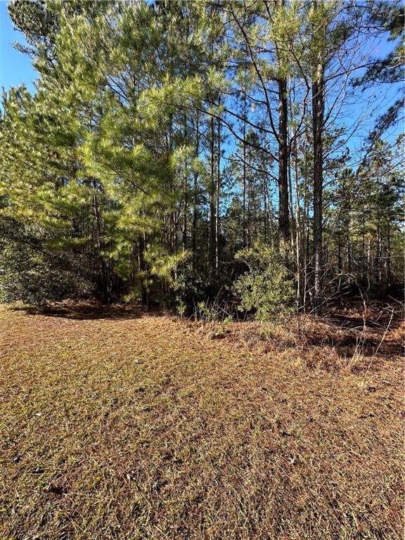 https://bt-photos.global.ssl.fastly.net/goldenisles/orig_boomver_1_1653984-2.jpg
