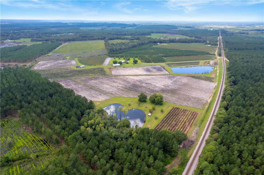 0 (94.63 Ac) Jabbers (Nicholls, Ga) Lane - Photo 1