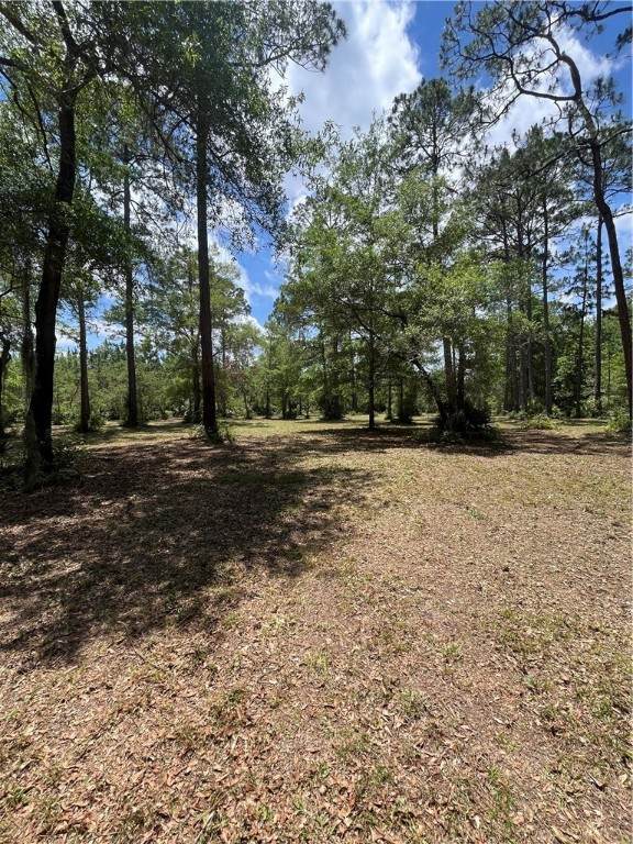 https://bt-photos.global.ssl.fastly.net/goldenisles/orig_boomver_1_1654283-2.jpg