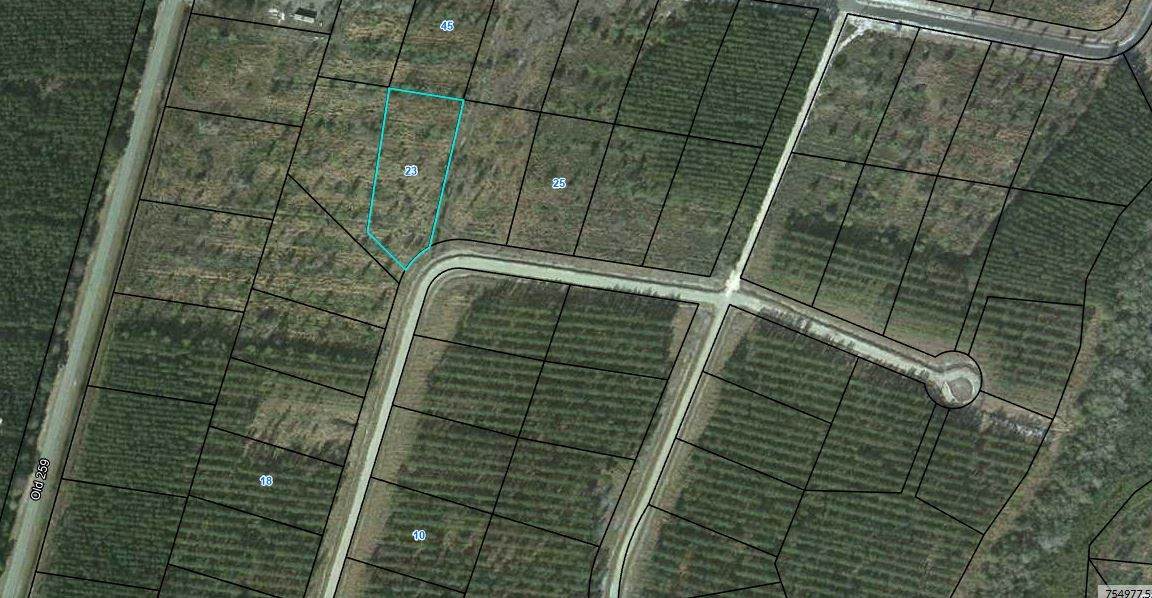 00 (Lot 23) Satilla Plantation Road - Photo 1