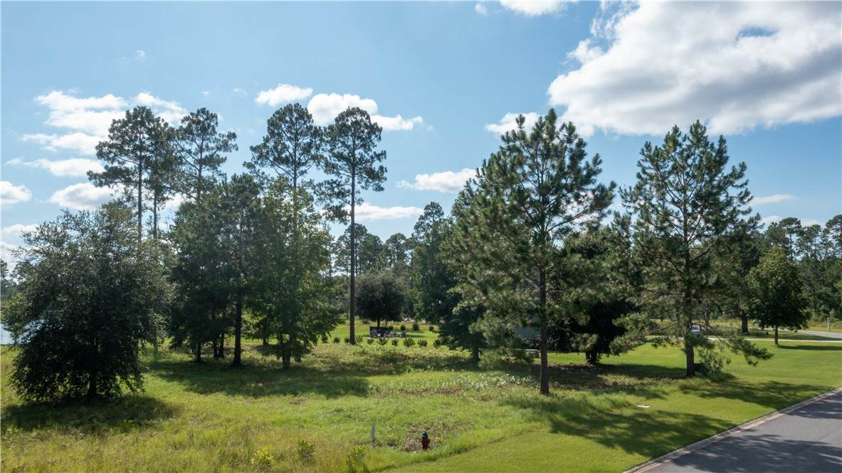 https://bt-photos.global.ssl.fastly.net/goldenisles/orig_boomver_1_1655158-2.jpg