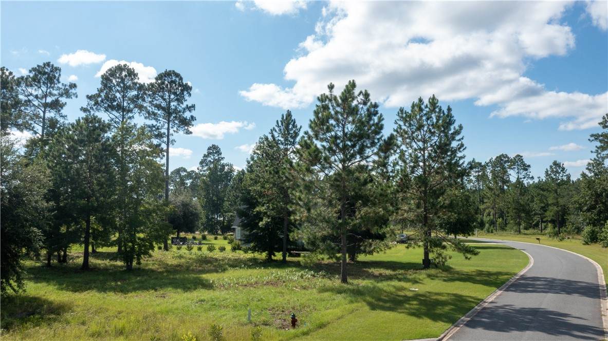 https://bt-photos.global.ssl.fastly.net/goldenisles/orig_boomver_1_1655158-2.jpg