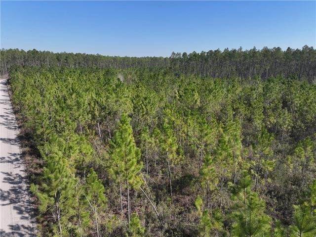 0 Tract 6 Hwy 341 & Bennett Mill Road - Photo 1