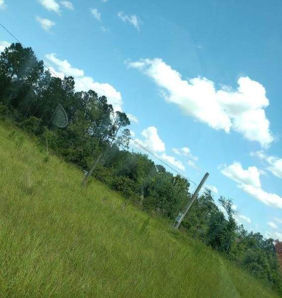 https://bt-photos.global.ssl.fastly.net/goldenisles/orig_boomver_1_1656132-2.jpg