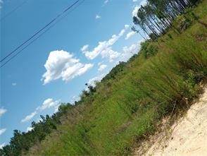 https://bt-photos.global.ssl.fastly.net/goldenisles/orig_boomver_1_1656134-2.jpg