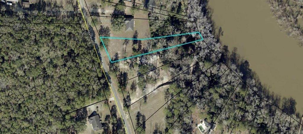 2 Altamaha Road - Photo 1