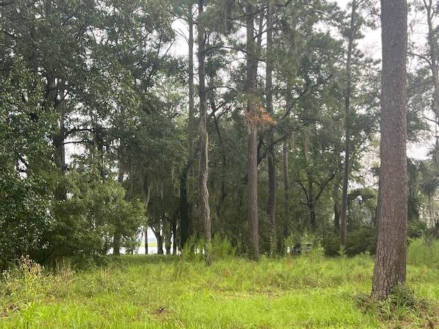 https://bt-photos.global.ssl.fastly.net/goldenisles/orig_boomver_1_1656198-2.jpg