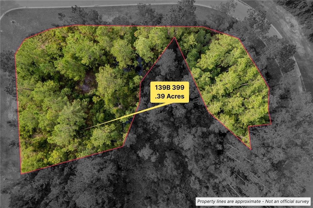 Lot 399 Whales Brook Way - Photo 1