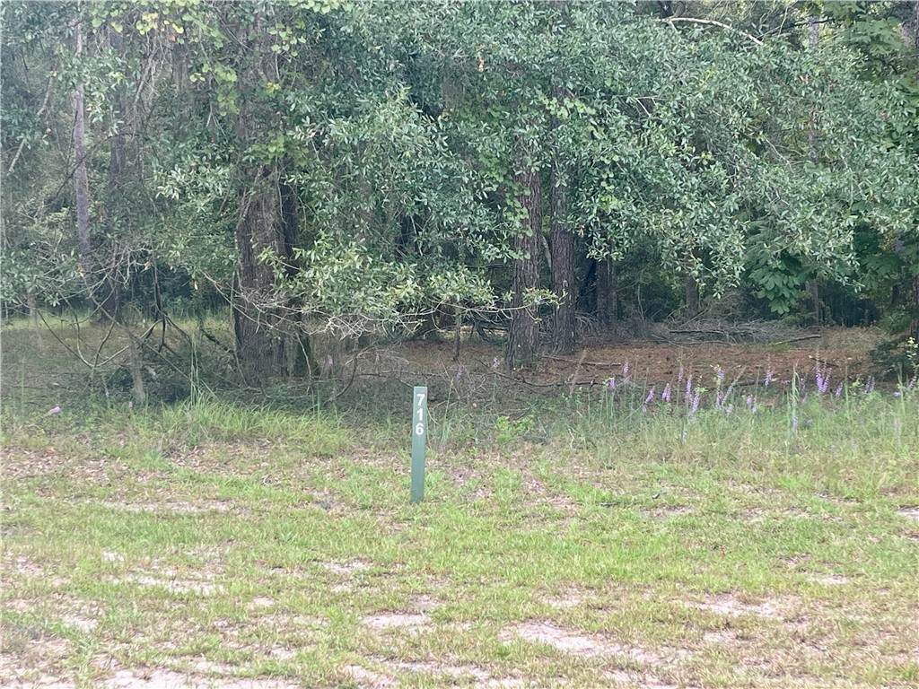 https://bt-photos.global.ssl.fastly.net/goldenisles/orig_boomver_1_1656808-2.jpg