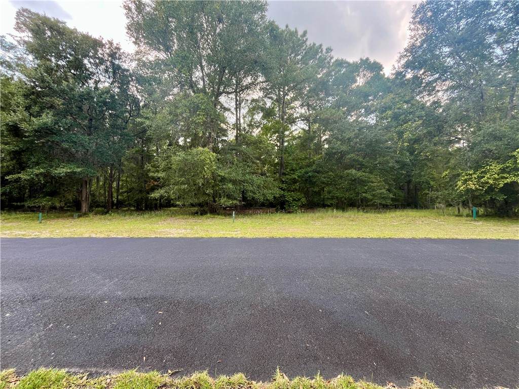 https://bt-photos.global.ssl.fastly.net/goldenisles/orig_boomver_1_1656808-2.jpg