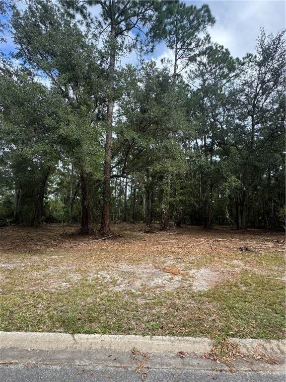 https://bt-photos.global.ssl.fastly.net/goldenisles/1280_boomver_1_1657098-2.jpg
