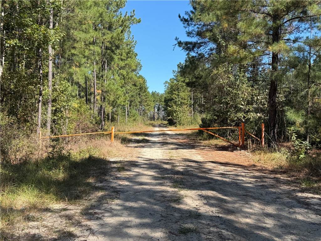 39.38 Branson Road - Photo 1