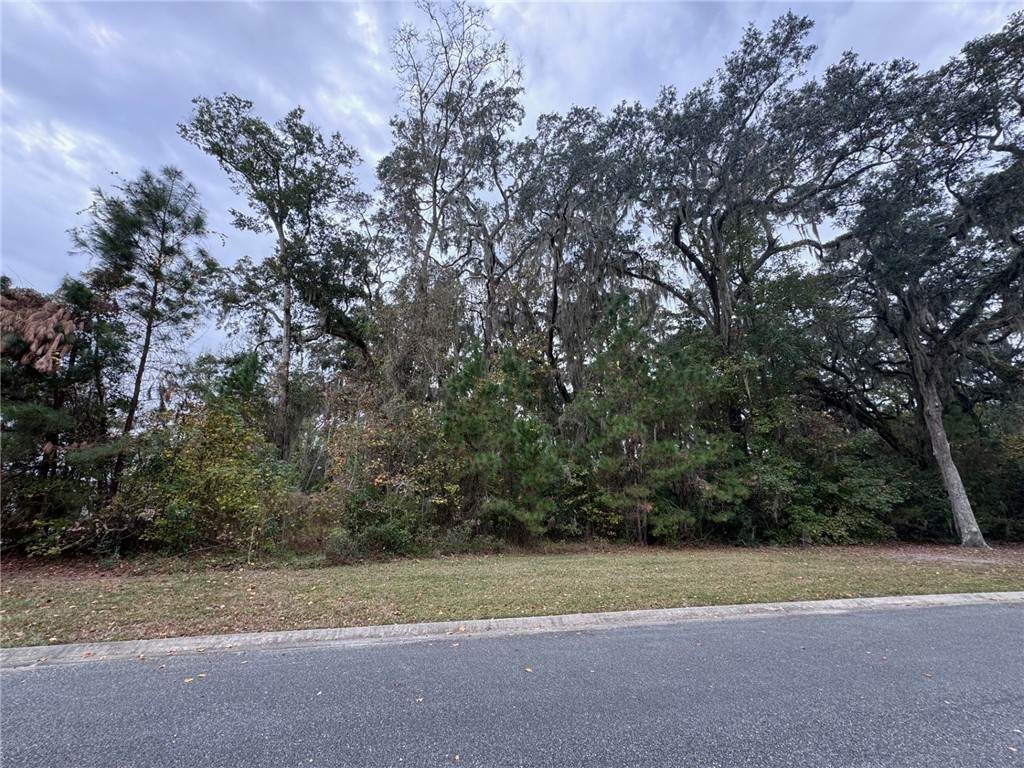 https://bt-photos.global.ssl.fastly.net/goldenisles/orig_boomver_1_1658846-2.jpg