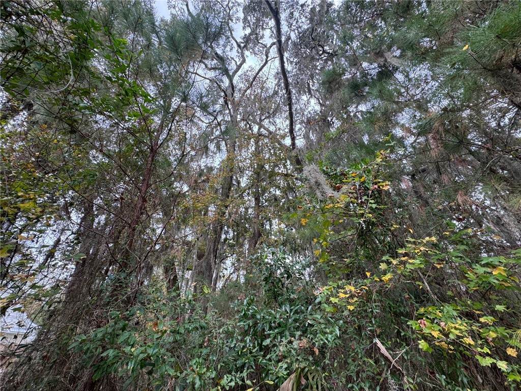 https://bt-photos.global.ssl.fastly.net/goldenisles/orig_boomver_1_1658846-2.jpg