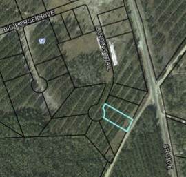 Lot 35 Landing Trail - Photo 1
