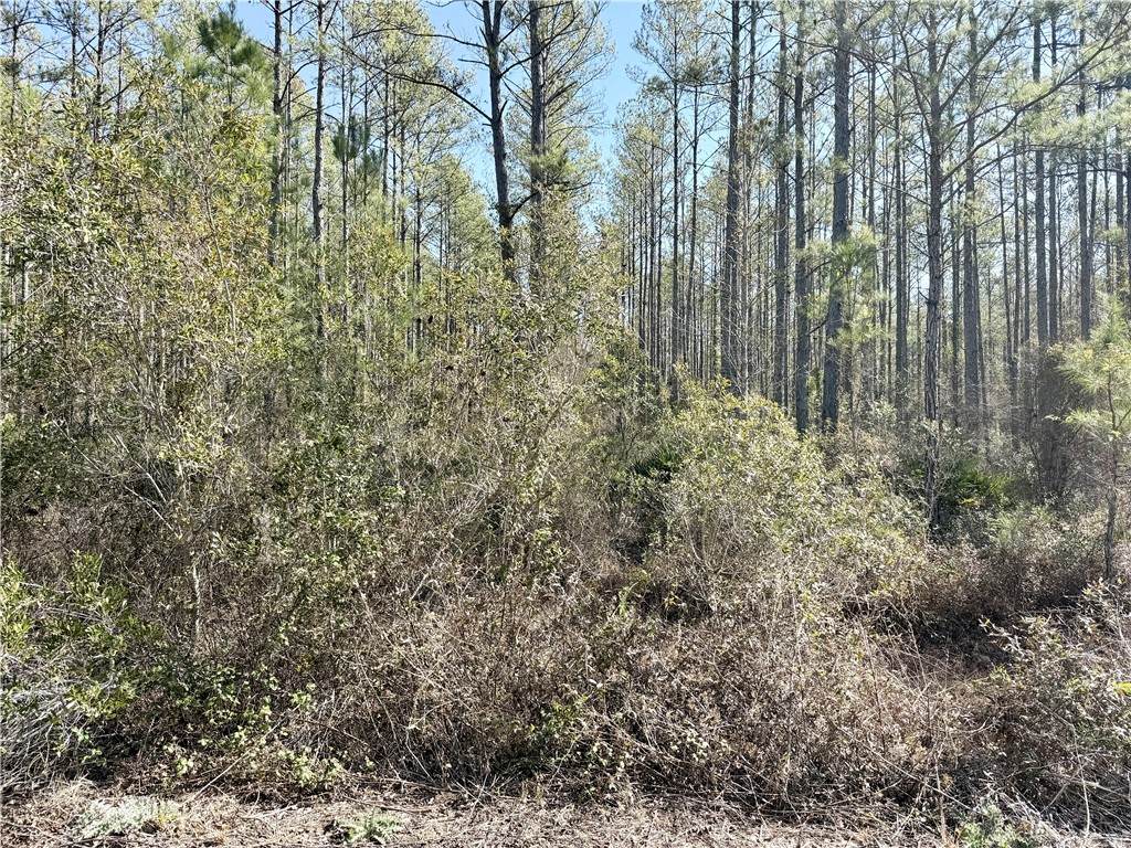 https://bt-photos.global.ssl.fastly.net/goldenisles/orig_boomver_1_1659454-2.jpg