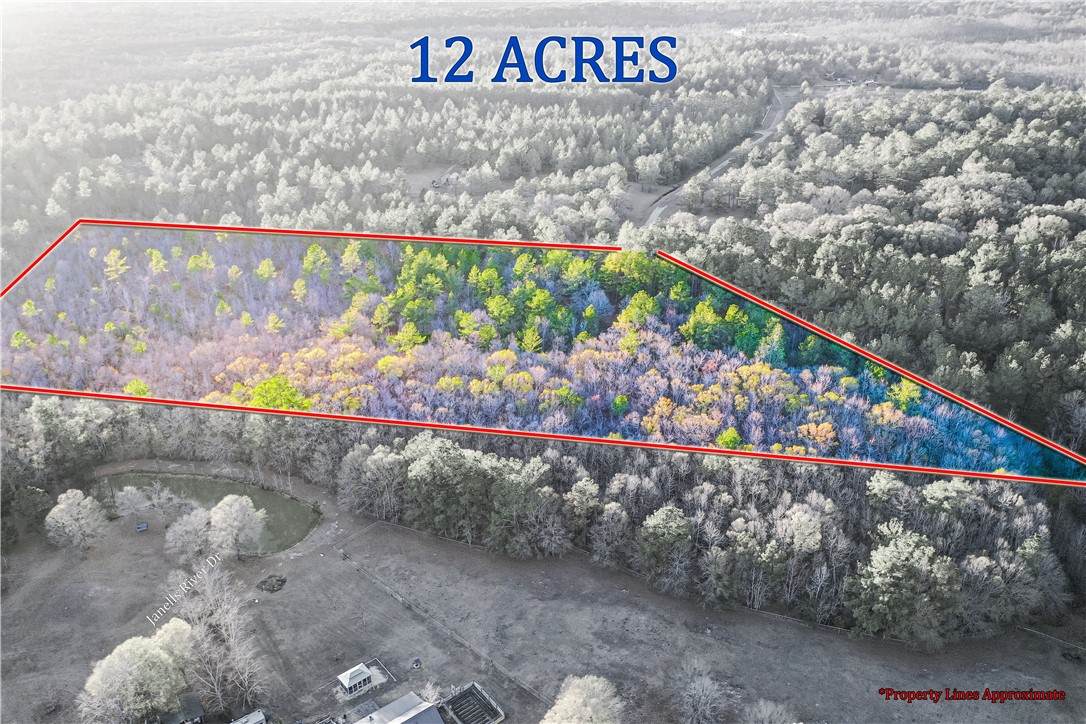 0 Janells River Road - Photo 1