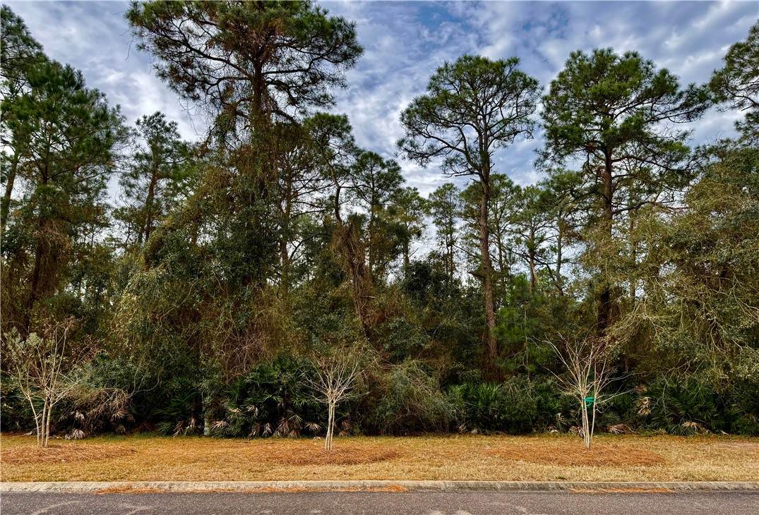 306 Clubhouse Circle - Photo 1