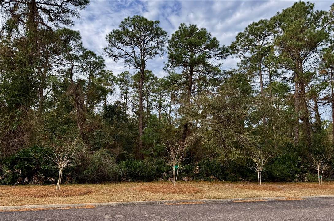 https://bt-photos.global.ssl.fastly.net/goldenisles/orig_boomver_1_1659705-2.jpg