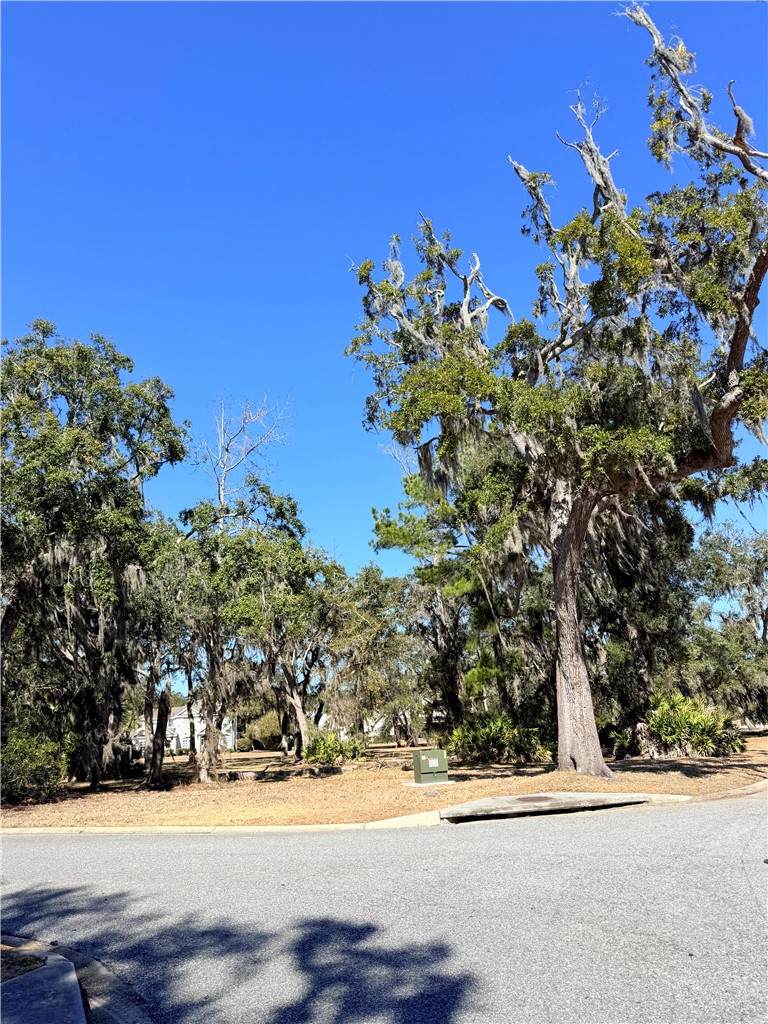 0 Maiden Creek Drive - Photo 1