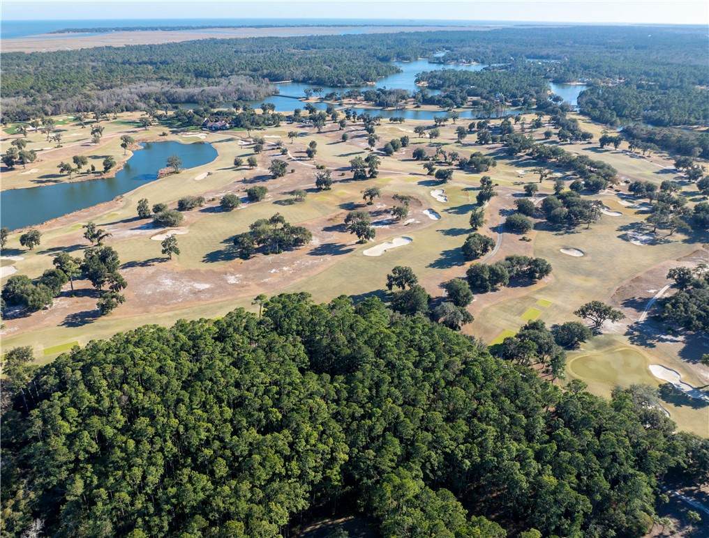 https://bt-photos.global.ssl.fastly.net/goldenisles/orig_boomver_1_1659766-2.jpg