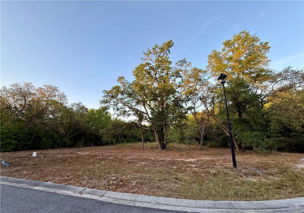 6005 & 6007 Tree Top Lane - Photo 1